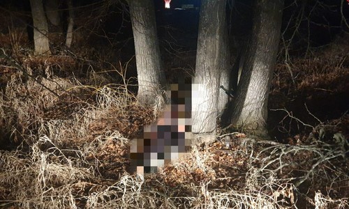 Пропавшую в январе женщину нашли мертвой Пропавшую в январе женщину нашли мертвой