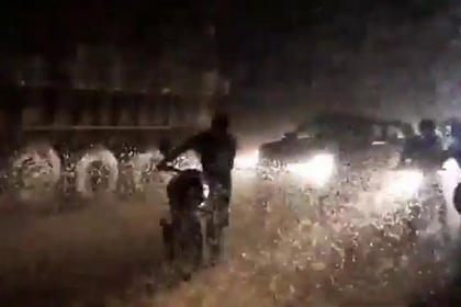 Полчища насекомых устроили пробку на шоссе и попали на видео Полчища насекомых устроили пробку на шоссе и попали на видео