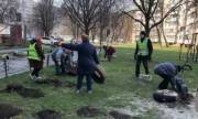 Киевляне просят восстановить благоустройство после демонтажа шин во дворах Киевляне просят восстановить благоустройство после демонтажа шин во дворах