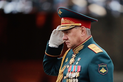 Поделки Сергея Шойгу продали за десятки миллионов рублей Поделки Сергея Шойгу продали за десятки миллионов рублей