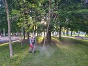 В Киеве обработали парки от клещей (перечень) В Киеве обработали парки от клещей (перечень)