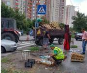 В Киеве убрали 130 локаций незаконной торговли