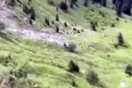 Смертельное ДТП с тремя туристами в Грузии попало на видео Смертельное ДТП с тремя туристами в Грузии попало на видео