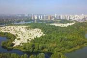 На Осокорках будет парк, обустроенный на средства инвестора На Осокорках будет парк, обустроенный на средства инвестора