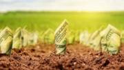Компанию заставили заплатить 43,5 миллиона гривен за куплю-продажу земли в Киеве Компанию заставили заплатить 43,5 миллиона гривен за куплю-продажу земли в Киеве
