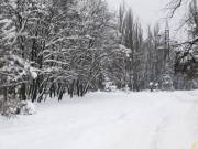 Землю в парке «Голосеевском» защитили от застройки