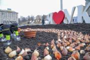 На Майдане Незалежности высадят 100 тысяч тюльпанов На Майдане Незалежности высадят 100 тысяч тюльпанов