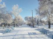 Проект Плана действий «Зеленый город» готов