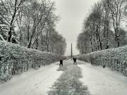 В Киеве приняли экологическую стратегию В Киеве приняли экологическую стратегию