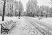 В Киеве обустроят новые парки в 6 районах (адреса) В Киеве обустроят новые парки в 6 районах (адреса)