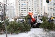 В Киеве демонтируют незаконные елочные ярмарки В Киеве демонтируют незаконные елочные ярмарки