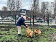 В Киеве появилось 9 новых площадок для выгула и дрессировки животных